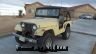 65cj-yellow.JPG