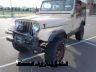 80cj7-31tires-brn.JPG