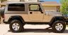 3-33gold-lj.JPG