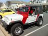 4-yj-whitered.JPG
