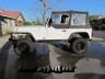 yj4-31-white.JPG